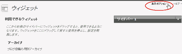 wordpress ウィジェット(表示オプション)