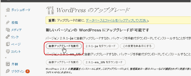 wordpress 自動アップグレードを実行