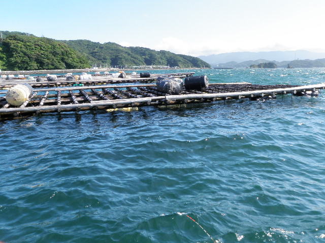 tousijima110627.jpg