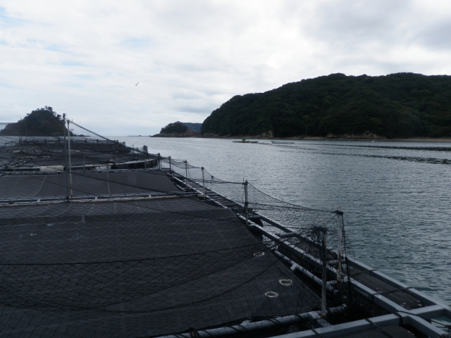 180911kamisakiura1.JPG