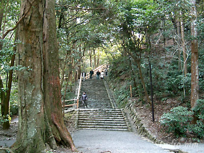 多賀宮への道