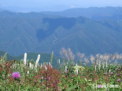 花と遠景1