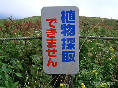 花とるな
