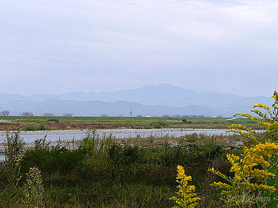 手取川・白山市