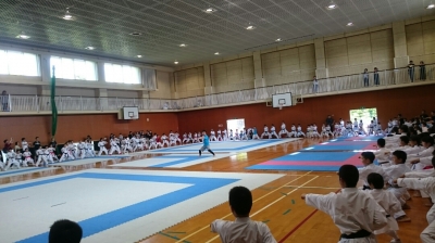 o1080060714220707196.jpg