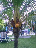 080803_1931~020001.jpg