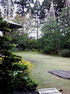 20071104120719.jpg