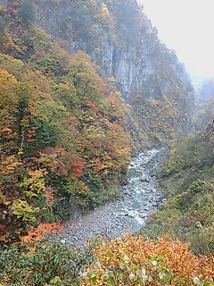 20081103110545.jpg