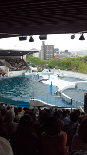 120425_150408.jpg