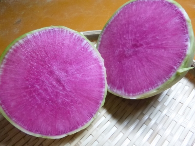 こうしんなか
