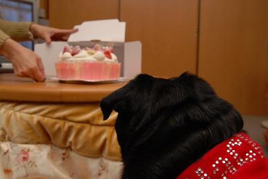 ケーキ