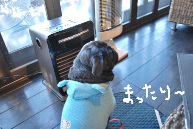 カシュカシュ