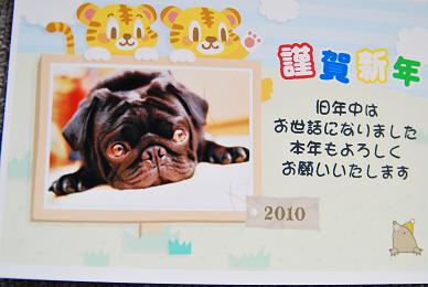 年賀状