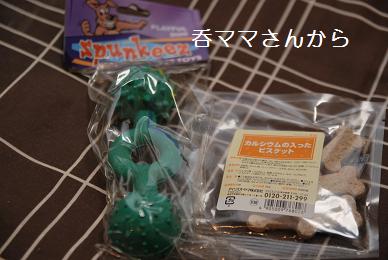 プレゼント