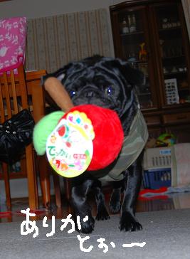 プレゼント