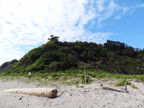 沖の島 上陸