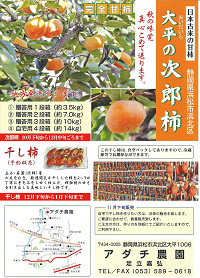 次郎柿 通販 産地直送