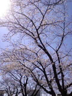 CA3C02800001.jpg