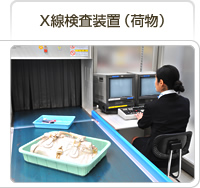 保安検査 機内持ち込み荷物