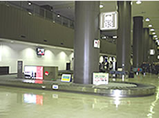 成田空港 手荷物受取