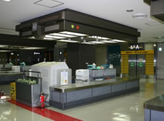 成田空港 税関検査