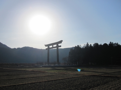 くまの1