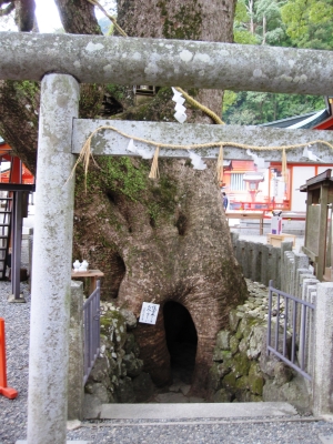 那智4