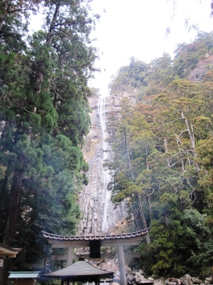 那智7