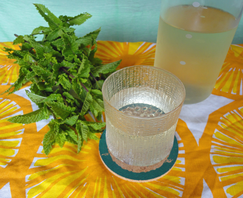 mintlemonwater.jpg