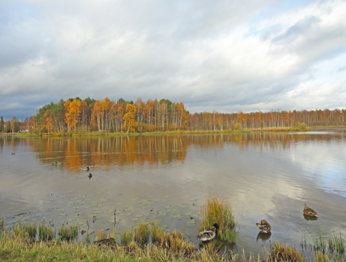 finlandnature&town4.jpg