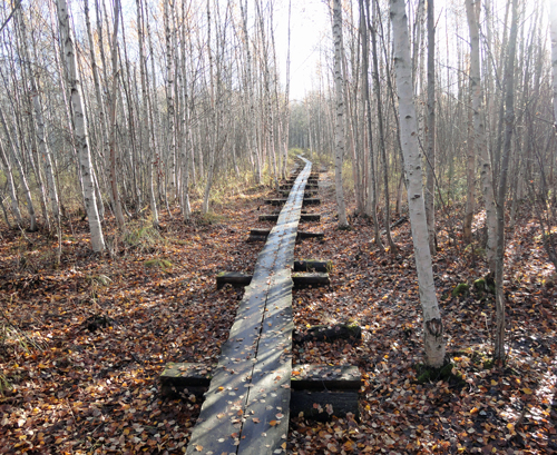 finlandnature&town5.jpg