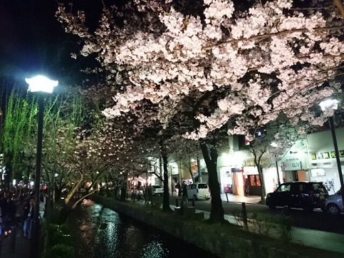 H28.04:桜 008