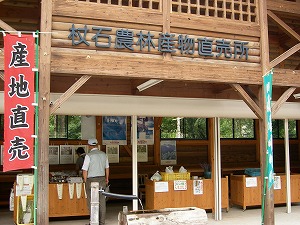 SANY0222.jpg