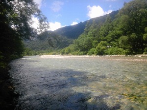 20100805_1620546.jpg
