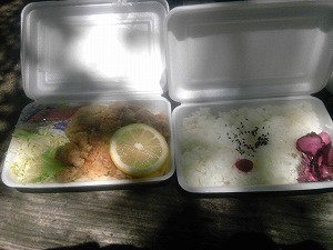 20100805_1621149.jpg