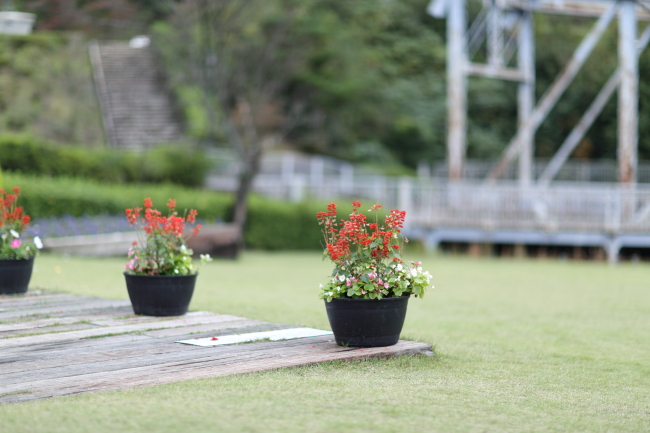 700A8739.JPG