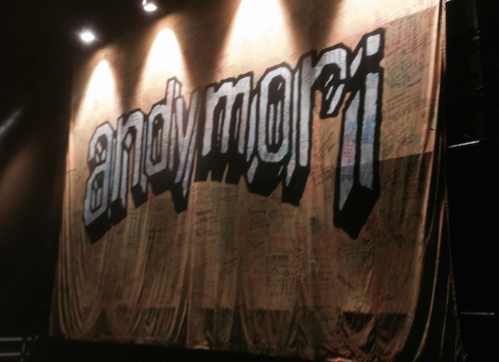 ａｎｄｙｍｏｒｉラストライブ２０１４．１０．１５　日本武道館／ａｎｄｙｍｏｒｉ : andymori ラストライブ 2014.10.15 日本武道館 [DVD