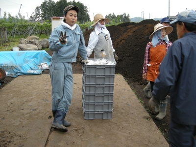 今日1日で出土した土器