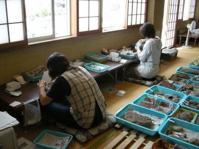 水洗選別作業