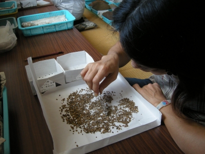 水洗選別作業