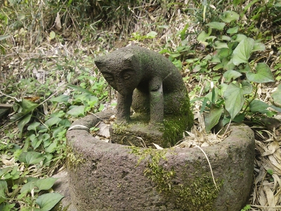 猫神様