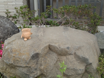 土器どきたん