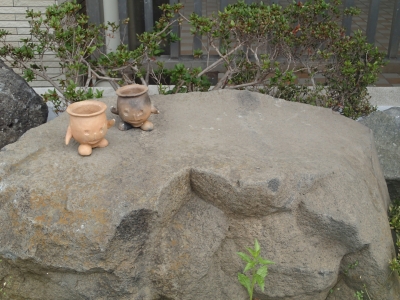 土器どきたん