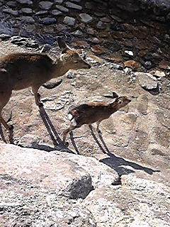 Image1057.jpg