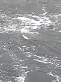 Image1081.jpg