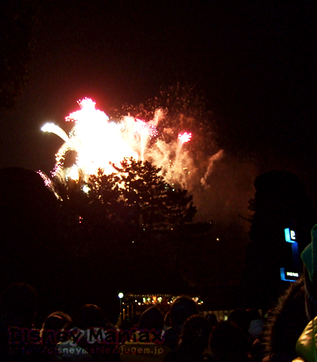 TDL2009年カウントダウンの花火