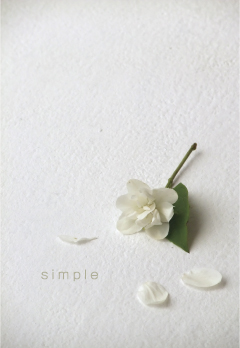 simple01.jpg