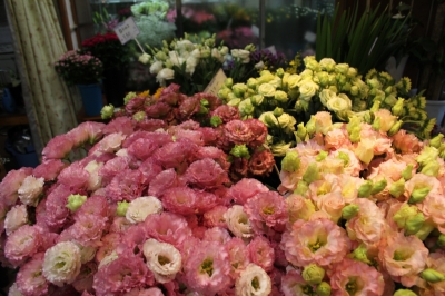 トルコキキョウ いわき市 小名浜 花国湘南台店 お花の日記