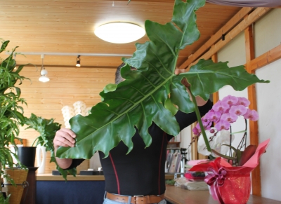 開店祝 スタンド花 いわき市 小名浜の花屋 花国湘南台店