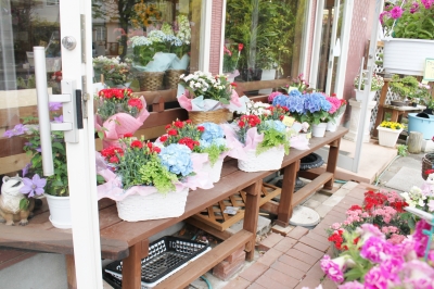 母の日 いわき市 小名浜 花屋 花国湘南台店